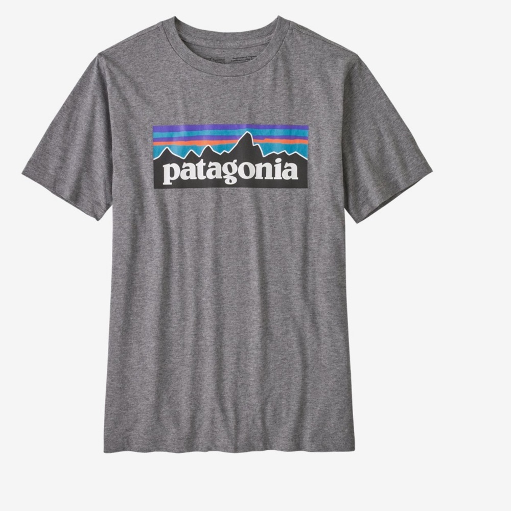 NWT Boy’s Patagonia Kids' Regenerative Organic Certified™ Cotton P-6 Logo Shirt